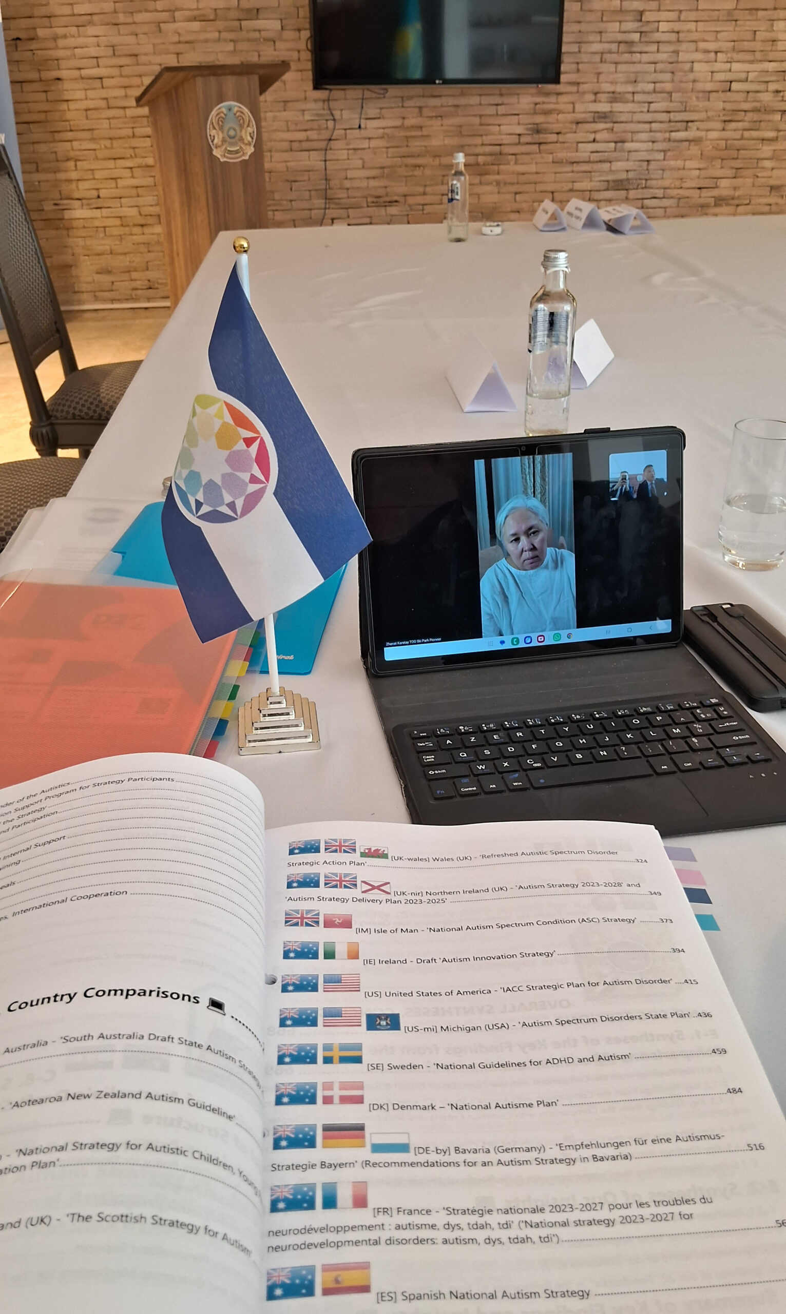 Working documents presented during the meeting, including works on national autism strategies and examples of public policies in different countries.
